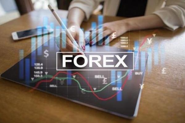 forex currency trading beginner
