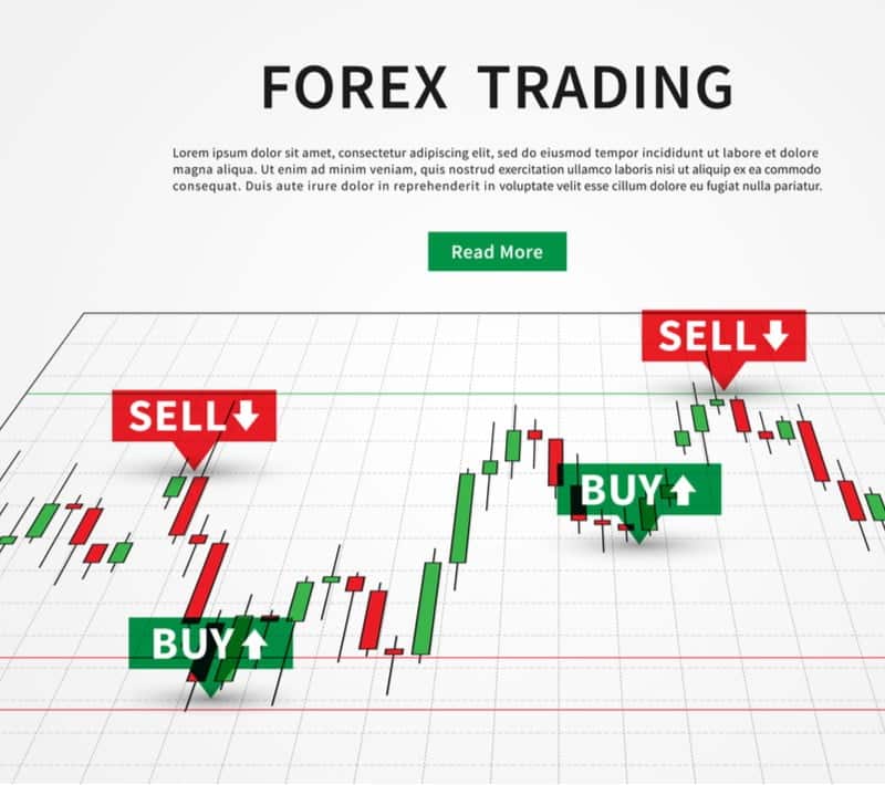 quotation statistics EXNESS FOREX TRADING SIGNALS